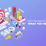 Medium Size Business SEO Package Services